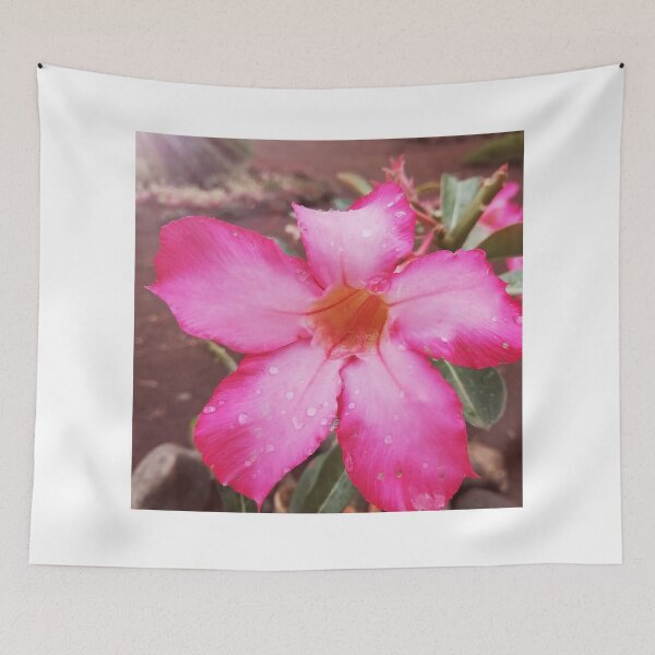 Item preview, Vibrant Pink Adenium Desert Rose Blossom designed and sold by Luxxe87.