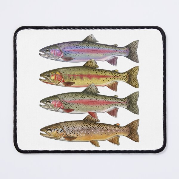 Item preview, Trout Species Identification Guide Fly Fishing Angler Nature Lover designed and sold by raedattia.