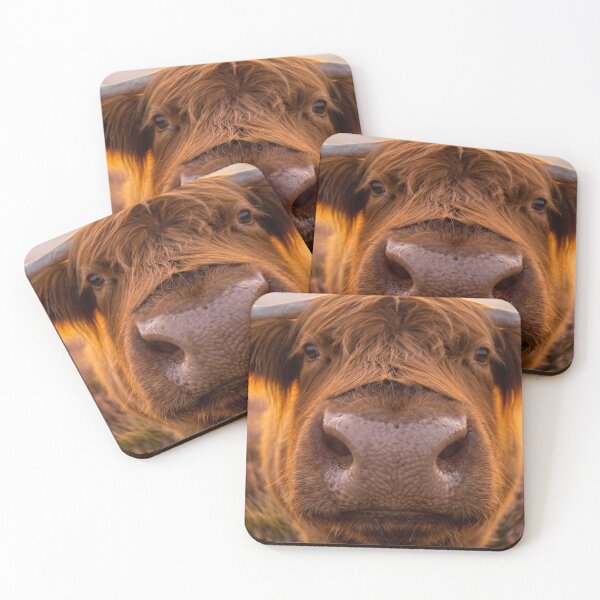 Item preview, Extreme close up of highland cow in the heather designed and sold by TeeBee1234.