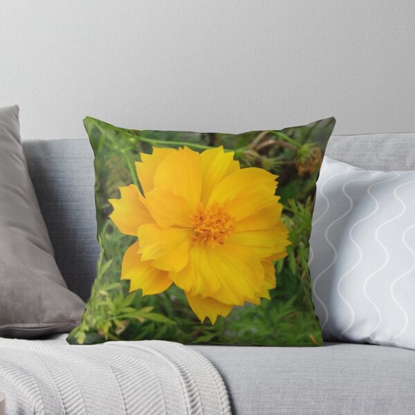Aperçu de l'œuvre Cosmos jaune soufre éclatant, fleur botanique créée et vendue par Luxxe87.