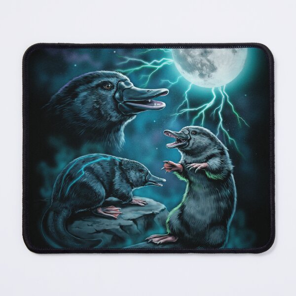 Item preview, 3 Platypus Moon designed and sold by alehousephoto.
