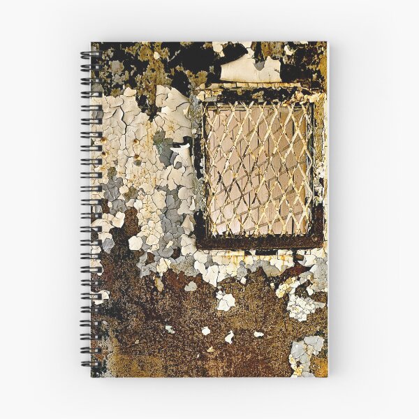 Item preview, Behind Locked Doors – Trans-Allegheny Lunatic Asylum designed and sold by Jason Bylsma.