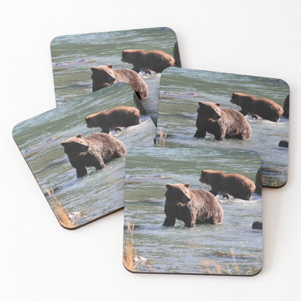 Item preview, Grizzly bear cubs in the water designed and sold by zumi.