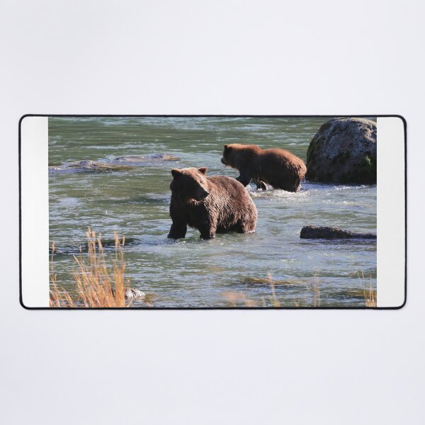 Item preview, Grizzly bear cubs in the water designed and sold by zumi.