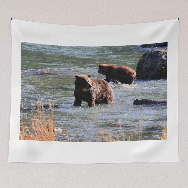 Item preview, Grizzly bear cubs in the water designed and sold by zumi.