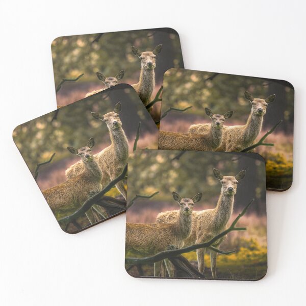 Item preview, Red Deer Hinds  designed and sold by Darren Wilkes Wildlife UK.