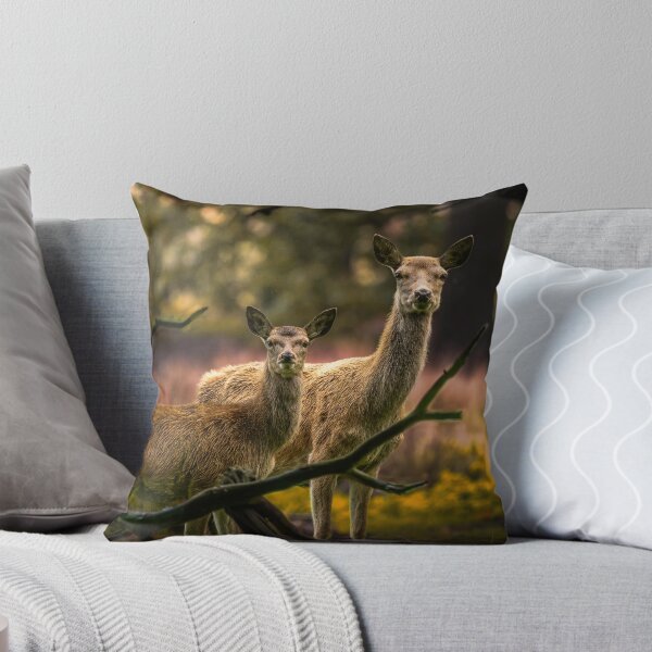 Item preview, Red Deer Hinds  designed and sold by Darren Wilkes Wildlife UK.