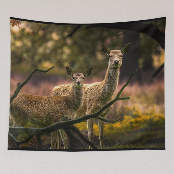 Item preview, Red Deer Hinds  designed and sold by Darren Wilkes Wildlife UK.