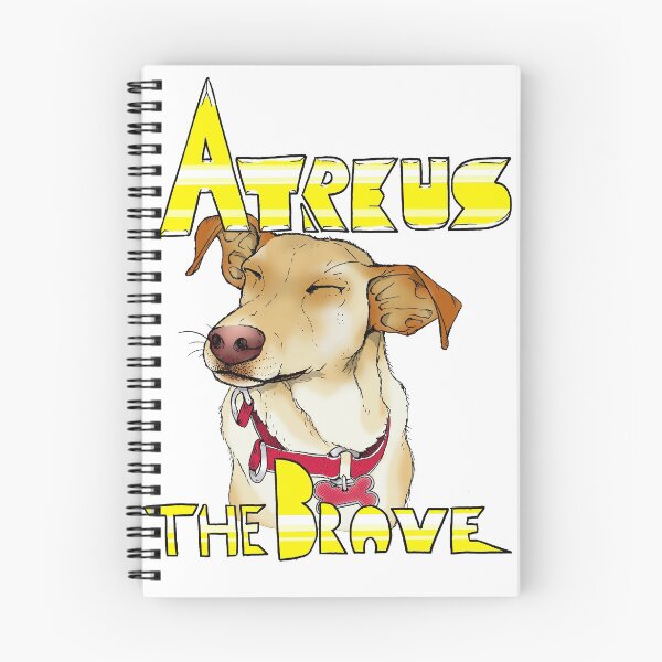 Item preview, Atreus The Brave designed and sold by alexwun81.