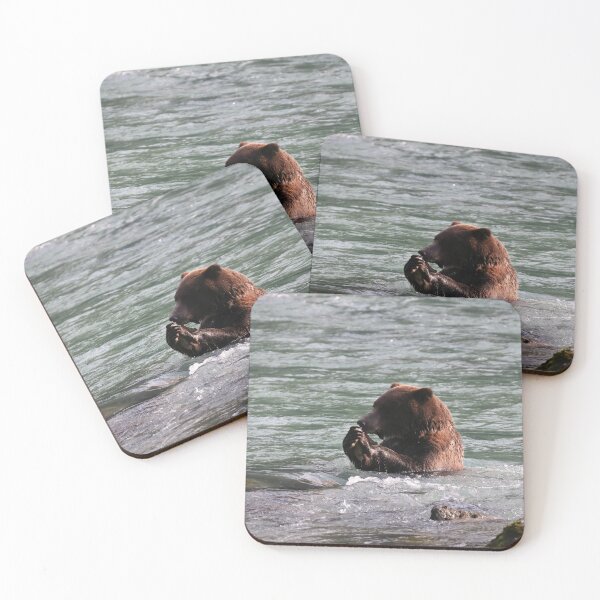 Item preview, Bear feeding in water designed and sold by zumi.