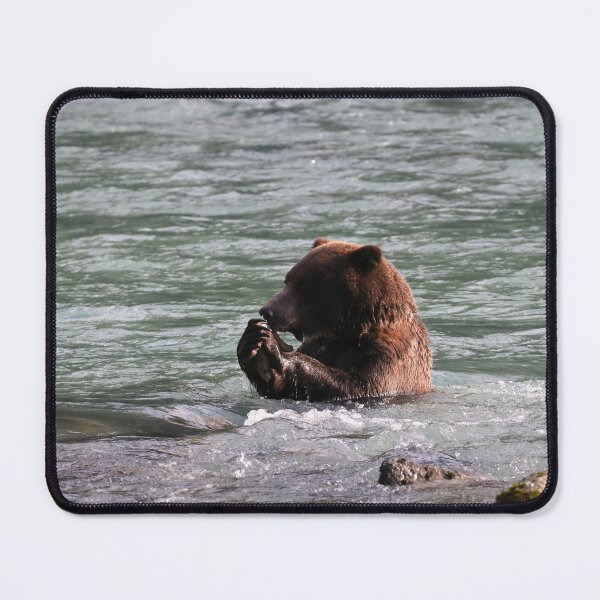 Item preview, Bear feeding in water designed and sold by zumi.