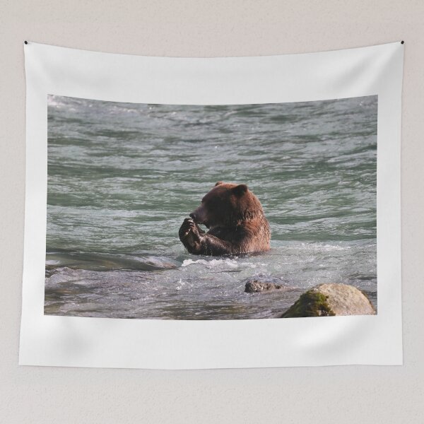Item preview, Bear feeding in water designed and sold by zumi.