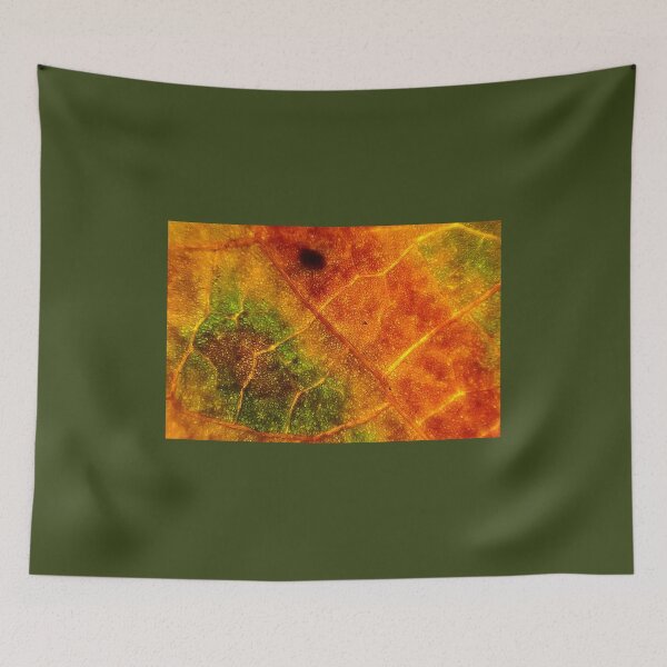 Item preview, Abstract Autumn Leaf Macro – Fiery Orange and Green Textures designed and sold by onubi.