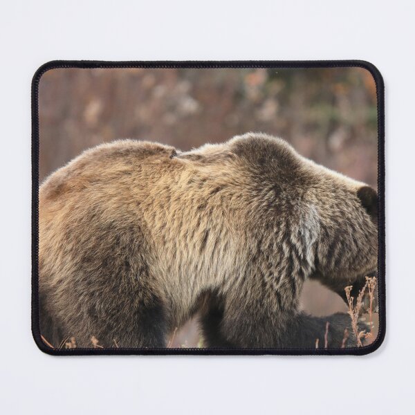 Item preview, Adult grizzly mother designed and sold by zumi.