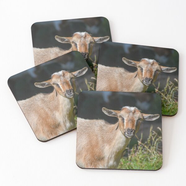 Item preview, Goat Photograph designed and sold by rosestuart.