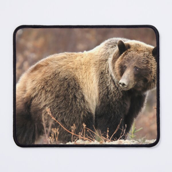 Item preview, Adult grizzly mother II designed and sold by zumi.