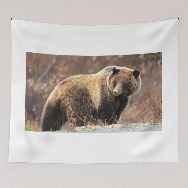 Item preview, Adult grizzly mother II designed and sold by zumi.