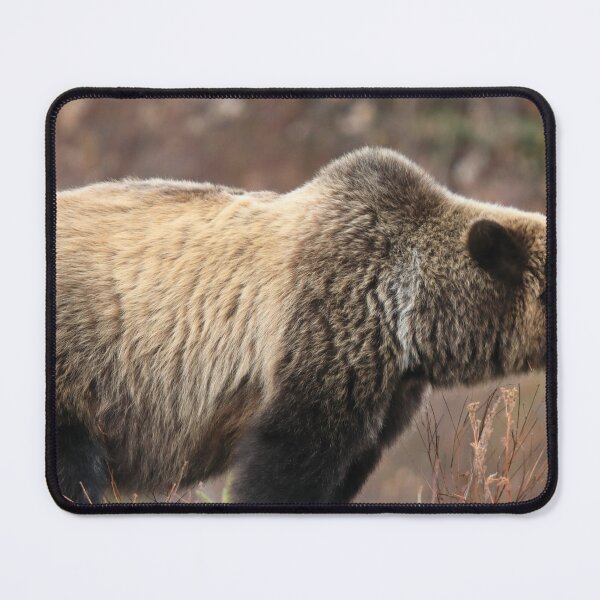 Item preview, Adult grizzly mother III designed and sold by zumi.