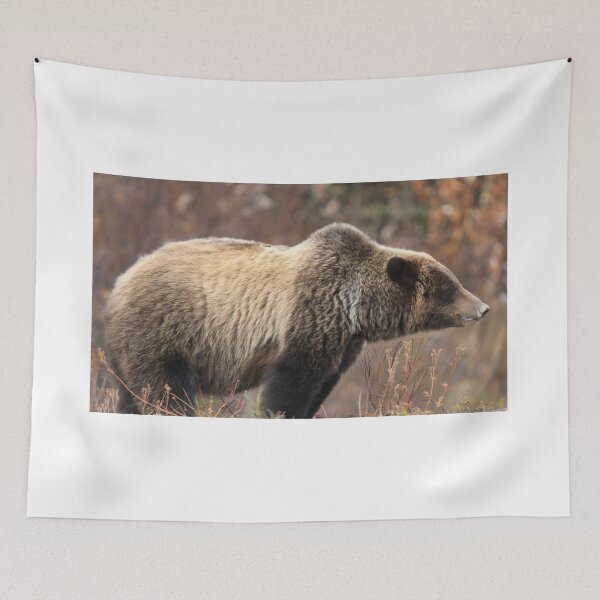 Item preview, Adult grizzly mother III designed and sold by zumi.