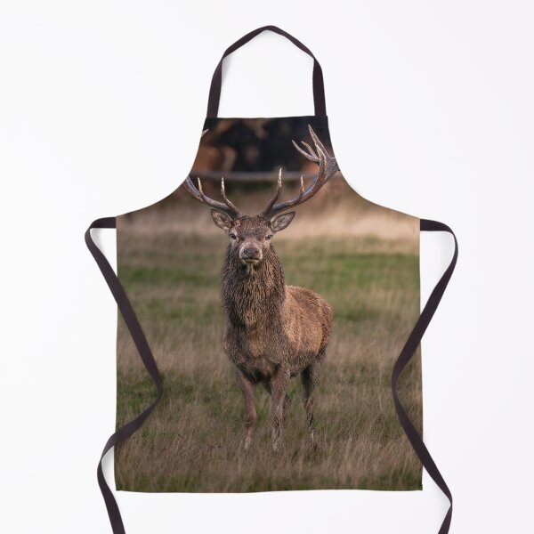 Item preview, Curious Red Deer Stag Portrait designed and sold by Darren Wilkes Wildlife UK.