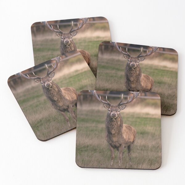 Item preview, Curious Red Deer Stag Portrait designed and sold by Darren Wilkes Wildlife UK.