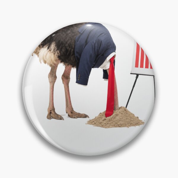 Item preview, The Polls Are Fake. The Sand Is Real. designed and sold by XapicX Slow Club.