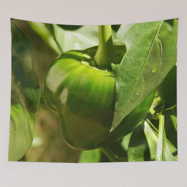 Item preview, Late Season Bell Pepper designed and sold by gistinker.