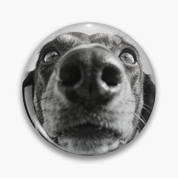 Item preview, Funny Dachshund Black and White Portrait Print, Monochrome Sausage Dog Wall Art designed and sold by QuietCanvasArtworks.
