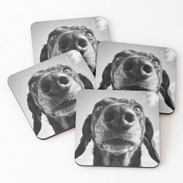 Item preview, Funny Dachshund Black and White Portrait Print, Monochrome Sausage Dog Wall Art designed and sold by QuietCanvasArtworks.