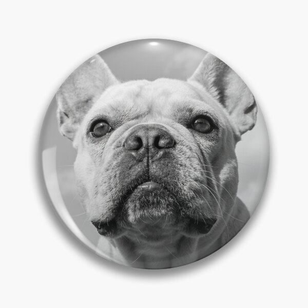 Item preview, Funny French Bulldog Black and White Portrait, Monochrome Dog Wall Art designed and sold by QuietCanvasArtworks.