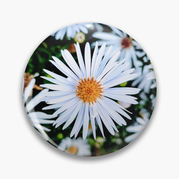 Item preview, Hazy Daisies designed and sold by Bee Buddy Photography.
