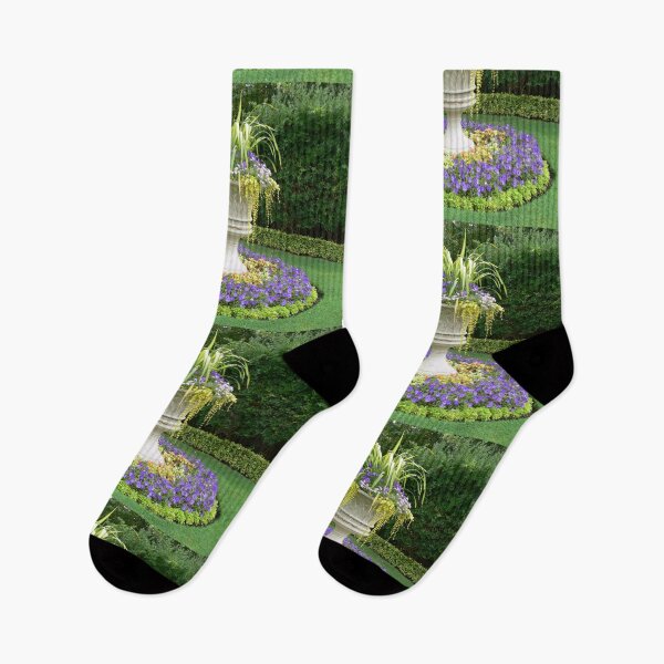Item preview, Queen Mary Gardens, Regent's Park, London designed and sold by PhotosByG.