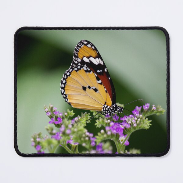 Item preview, African Monarch Butterfly on Purple Wildflowers designed and sold by celinebisson.
