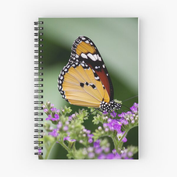 Item preview, African Monarch Butterfly on Purple Wildflowers designed and sold by celinebisson.