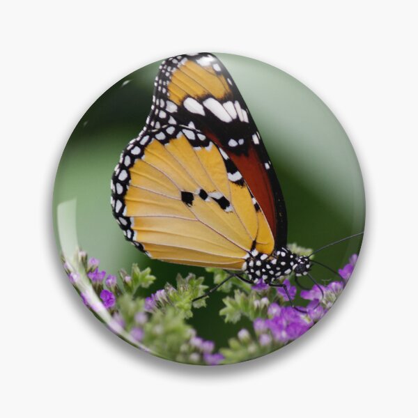 Item preview, African Monarch Butterfly on Purple Wildflowers designed and sold by celinebisson.