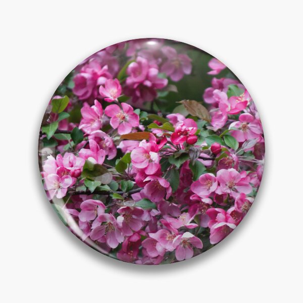 Item preview, Beautiful Pink Crabapple Blossoms in Spring designed and sold by celinebisson.
