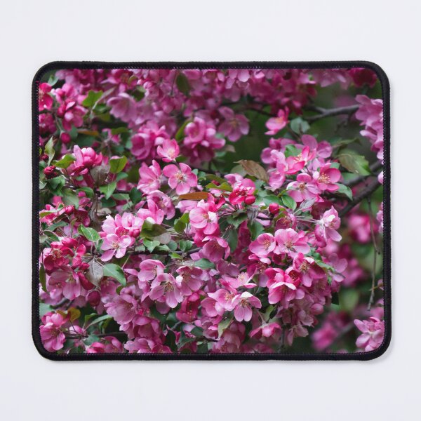 Item preview, Beautiful Pink Crabapple Blossoms in Spring designed and sold by celinebisson.