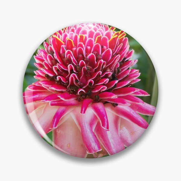 Item preview, Exotic Pink Torch Ginger Tropical Flower designed and sold by celinebisson.