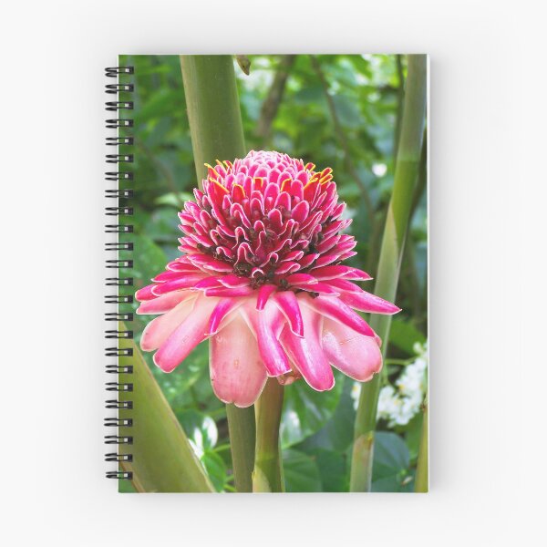 Item preview, Exotic Pink Torch Ginger Tropical Flower designed and sold by celinebisson.
