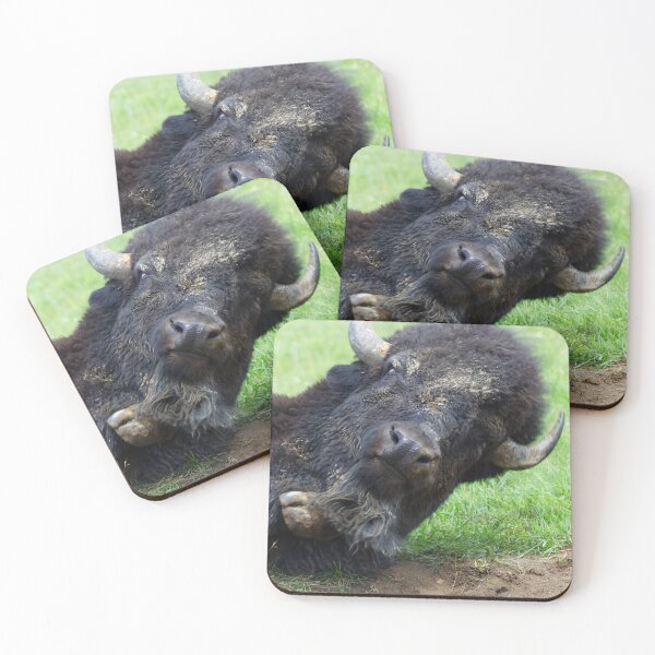 Item preview, Majestic American Bison Resting in Grass designed and sold by celinebisson.