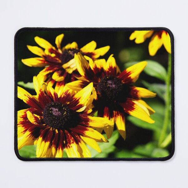 Item preview, Golden Yellow and Burgundy Black Eyed Susans designed and sold by celinebisson.