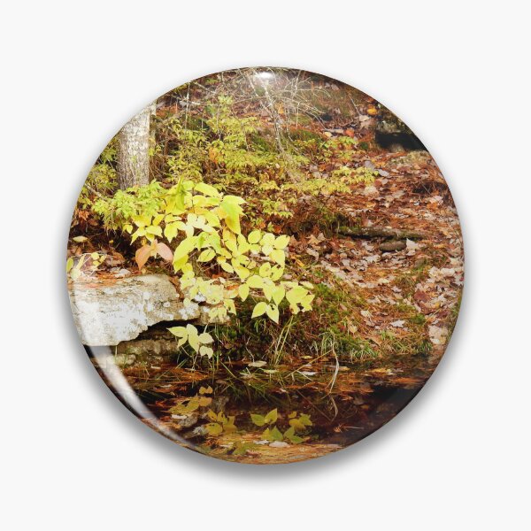 Item preview, Peaceful Autumn Creek in a Quebec Forest designed and sold by celinebisson.
