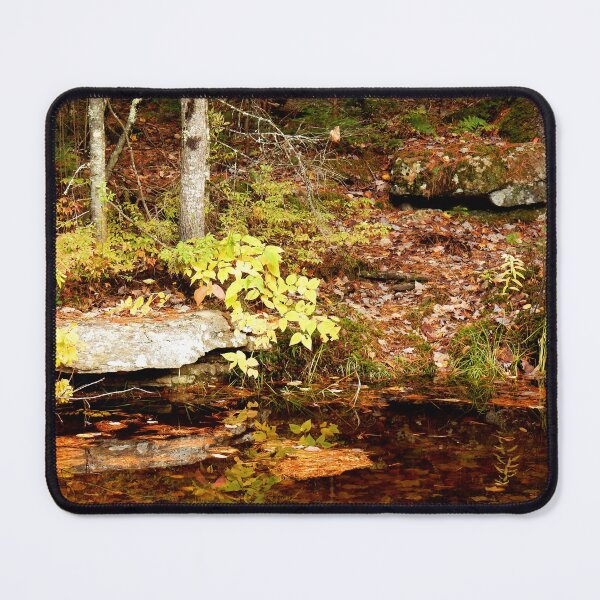 Item preview, Peaceful Autumn Creek in a Quebec Forest designed and sold by celinebisson.