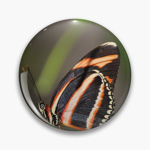 Item preview, Postman Butterfly Resting on a Green Leaf – Macro Photography designed and sold by celinebisson.