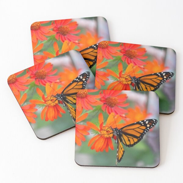 Item preview, Monarch Butterfly Feeding on Vibrant Orange Flowers designed and sold by celinebisson.
