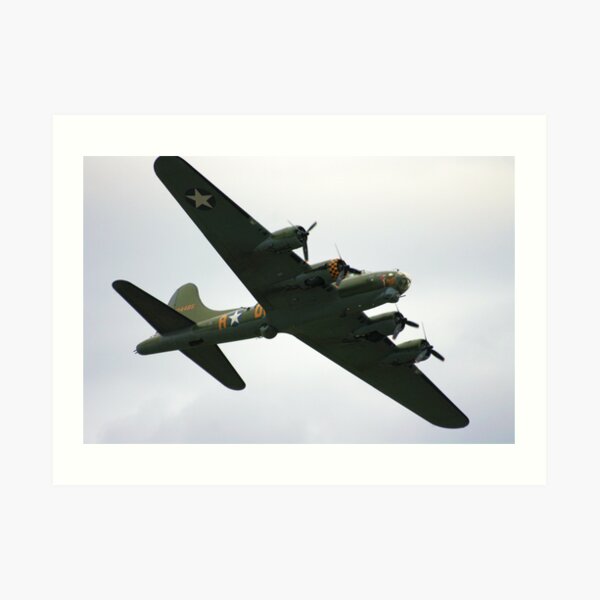 Sally B Flies Again! Art Print