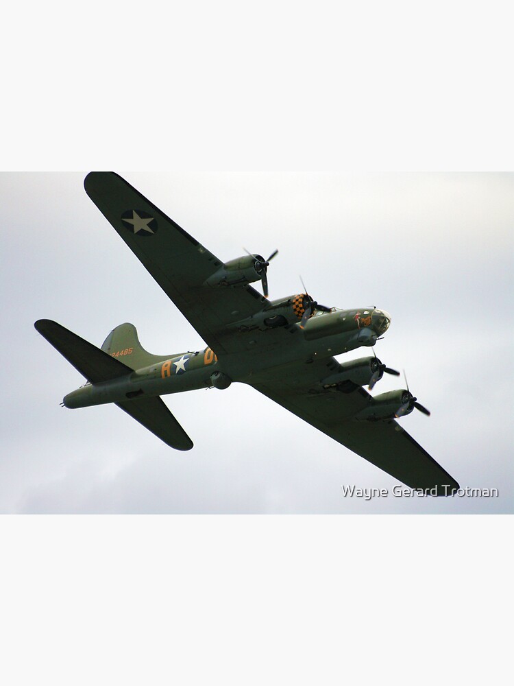 Sally B Flies Again! by redmoondragon