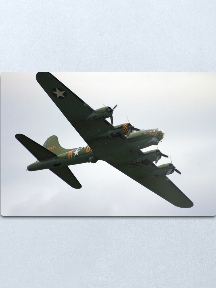Alternate view of Sally B Flies Again! Metal Print