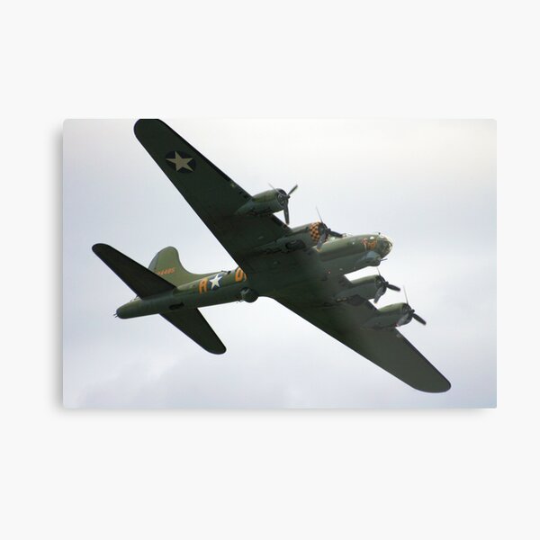Sally B Flies Again! Metal Print