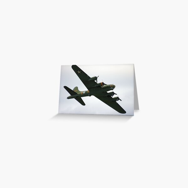 Sally B Flies Again! Greeting Card